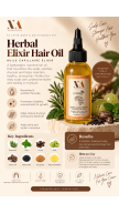 Le Crown H4 AfterWash Haircare Kit / Follicle Oil + Scalp Oil + Growth Serum + Hair Milk